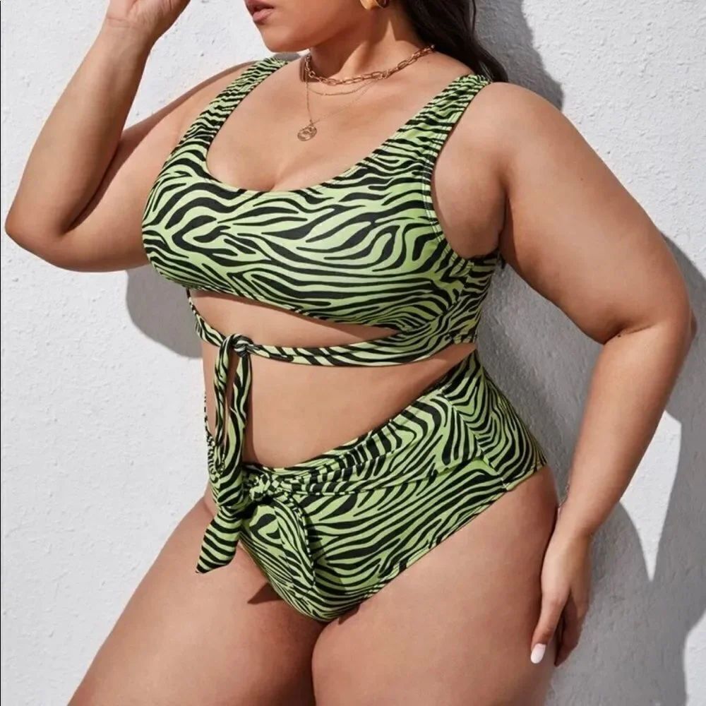 Zebra Print Bikini Set